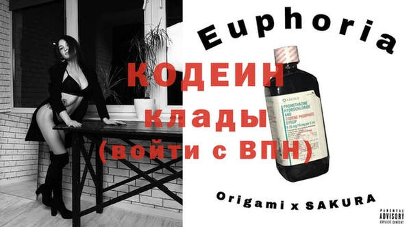 сатива Бородино