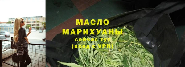 сатива Бородино