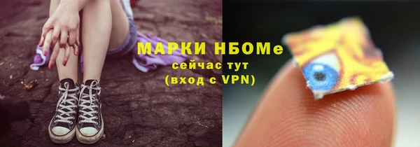 метадон Богданович