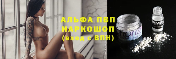 метадон Богданович