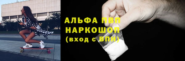 дмт Белокуриха