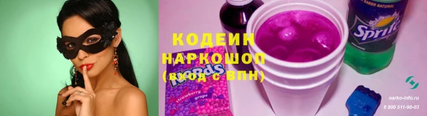 сатива Бородино