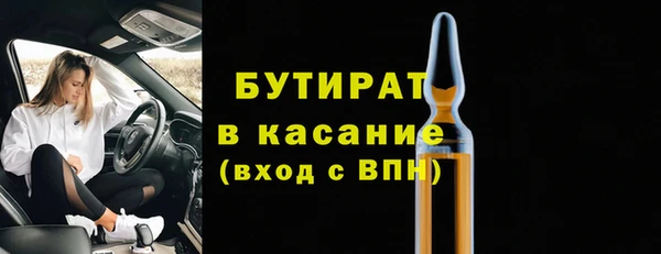 сатива Бородино
