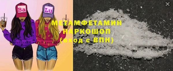 сатива Бородино