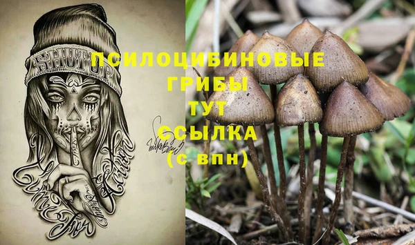 метадон Богданович