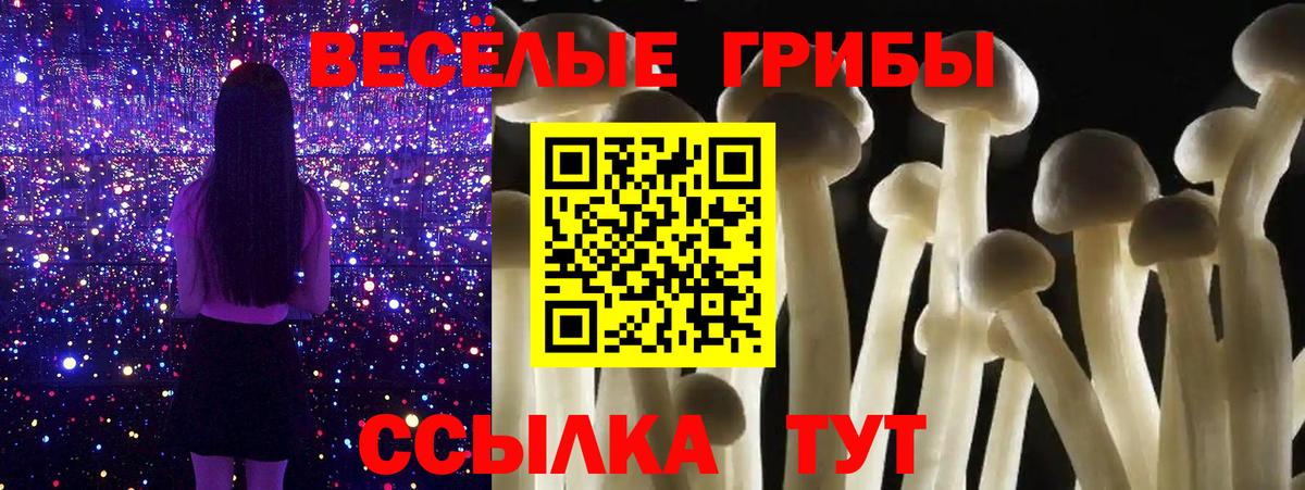 Галлюциногенные грибы Psilocybine cubensis Горячий Ключ