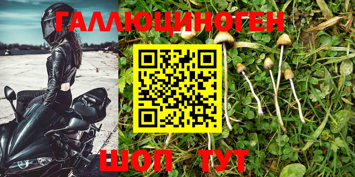 Горячий Ключ  как найти наркотики  Вход с VPN  Псилоцибиновые грибы Magic Shrooms 